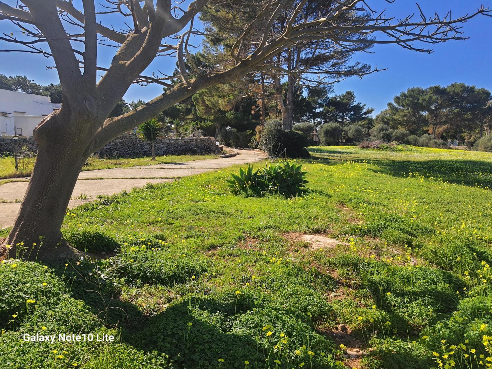Sogni Nel Blu Favignana Villa Dış mekan fotoğraf