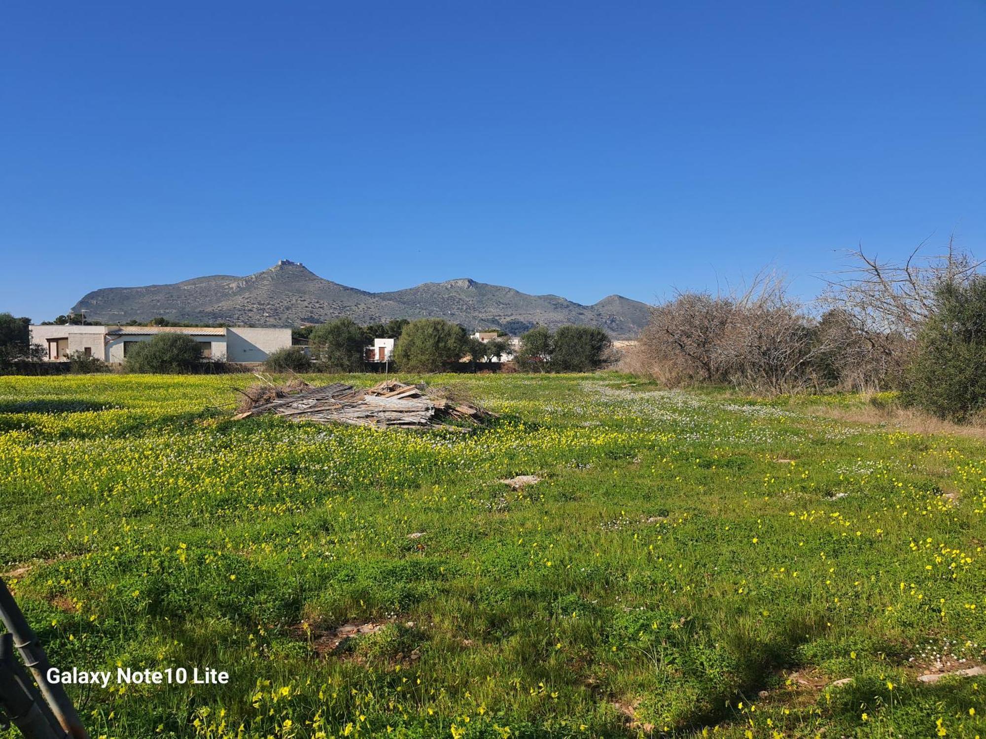 Sogni Nel Blu Favignana Villa Dış mekan fotoğraf