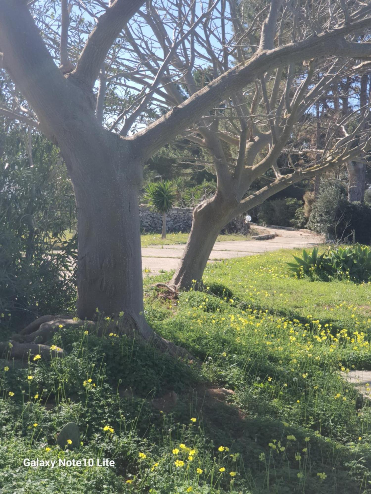 Sogni Nel Blu Favignana Villa Dış mekan fotoğraf