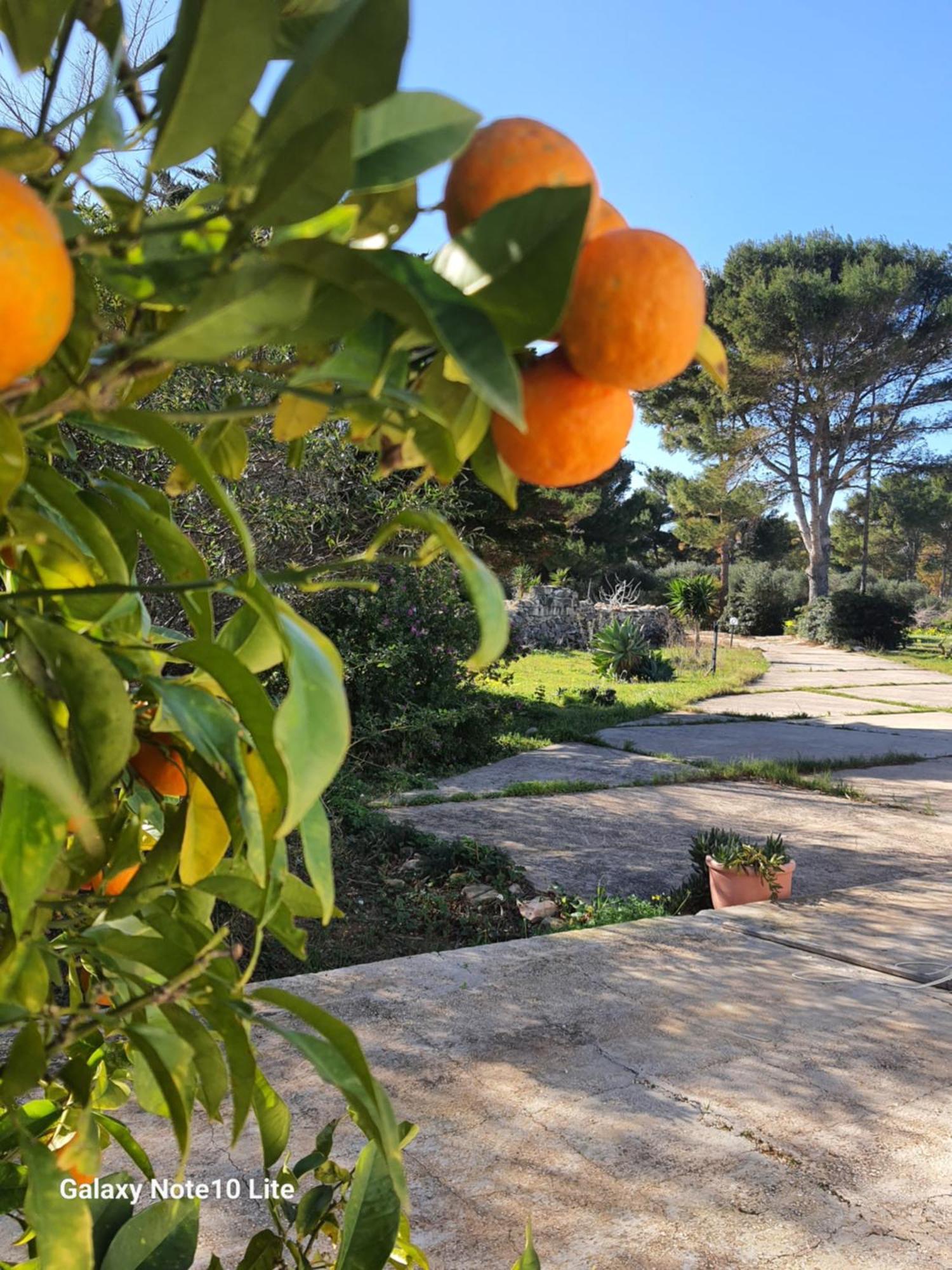 Sogni Nel Blu Favignana Villa Dış mekan fotoğraf